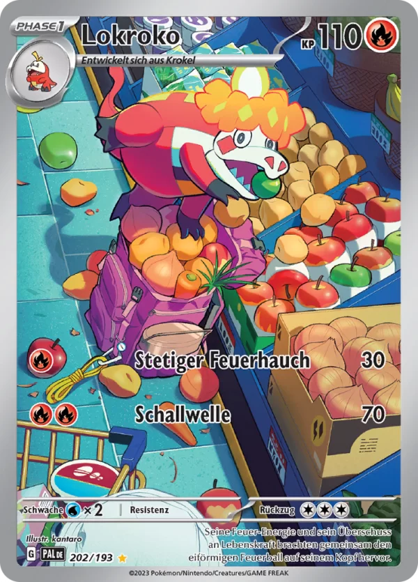Lokroko - PAL 202